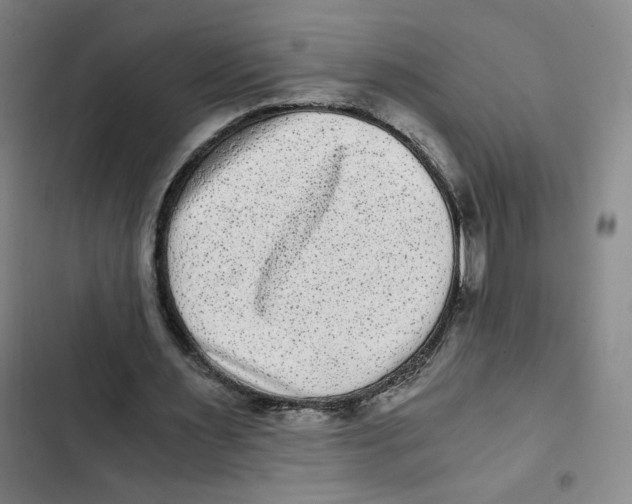 X0000102800483200809150932