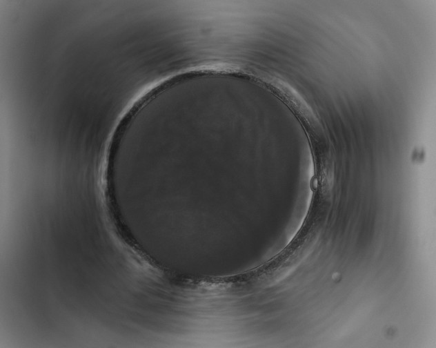 X0000102800484200809150932