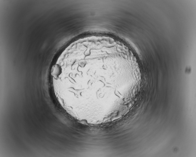 X0000102800487200809150932