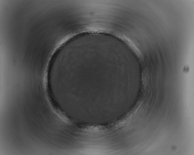 X0000102800488200809150932