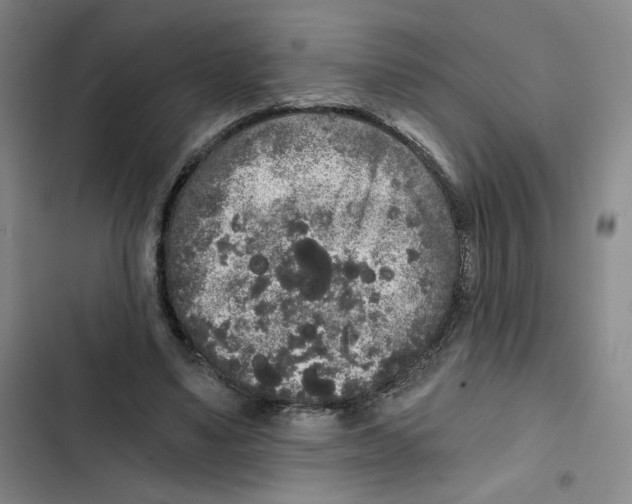 X0000102800491200809150932