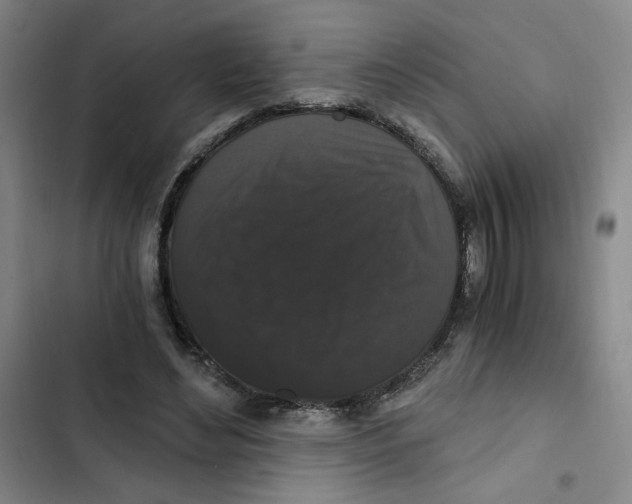 X0000102800492200809150932