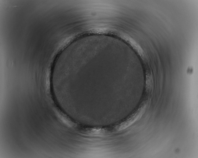 X0000102800493200809150932