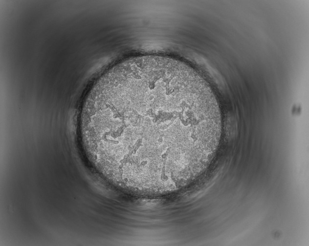 X0000102800495200809150932