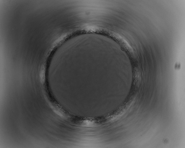 X0000102800496200809150932