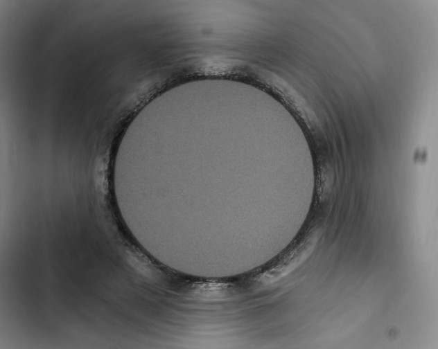 X0000102800497200809150932