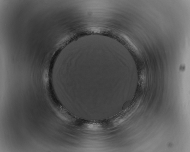 X0000102800500200809150932