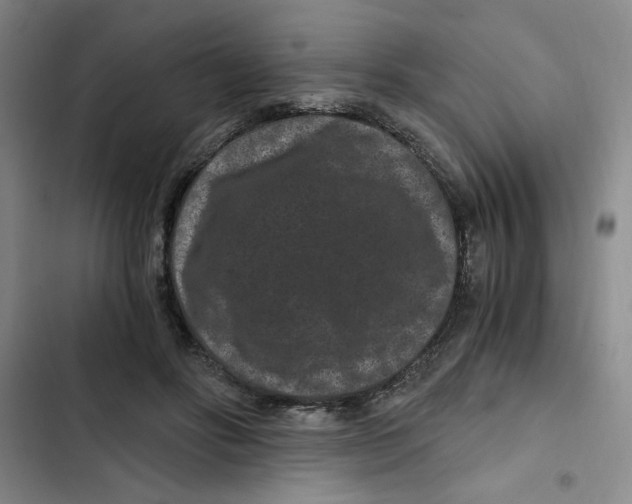 X0000102800502200809150932