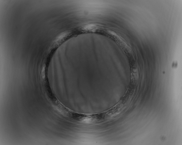 X0000102800504200809150932