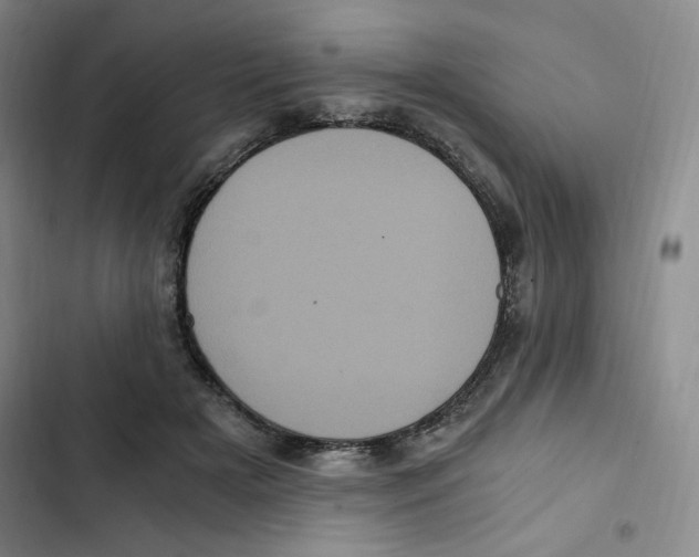 X0000102800505200809150932