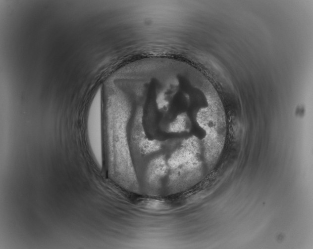 X0000102800507200809150932