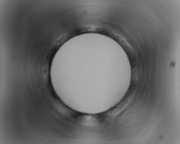 X0000102800509200809150932