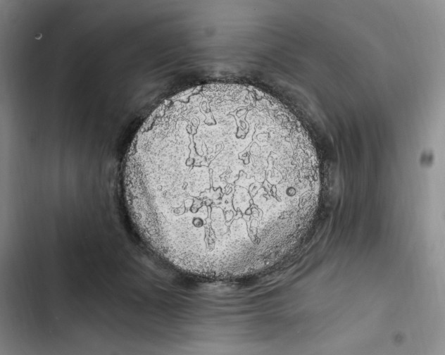 X0000102800511200809150932