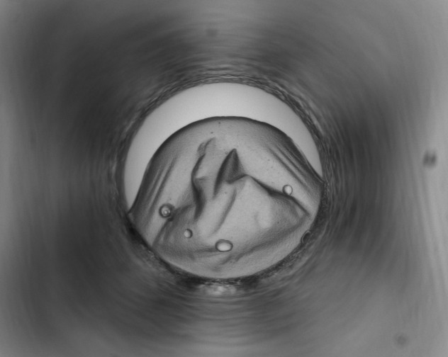 X0000102800512200809150932