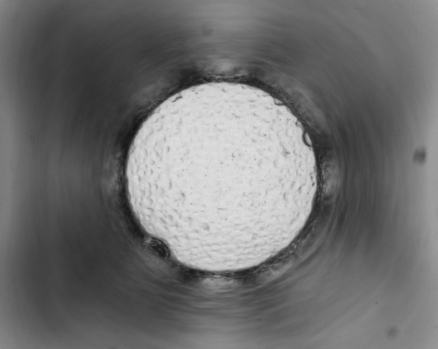 X0000102800515200809150932