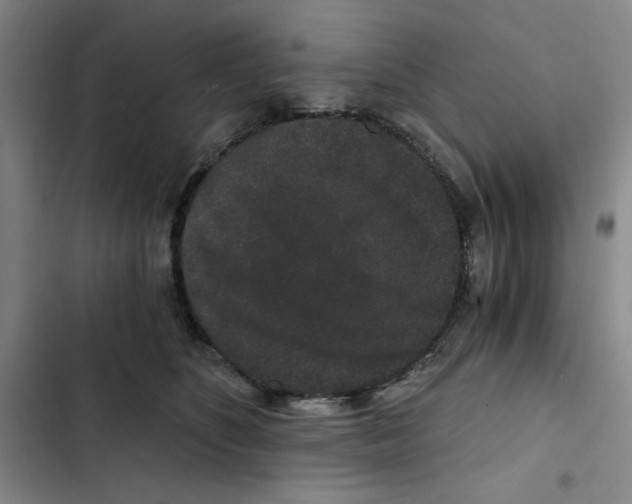 X0000102800516200809150932