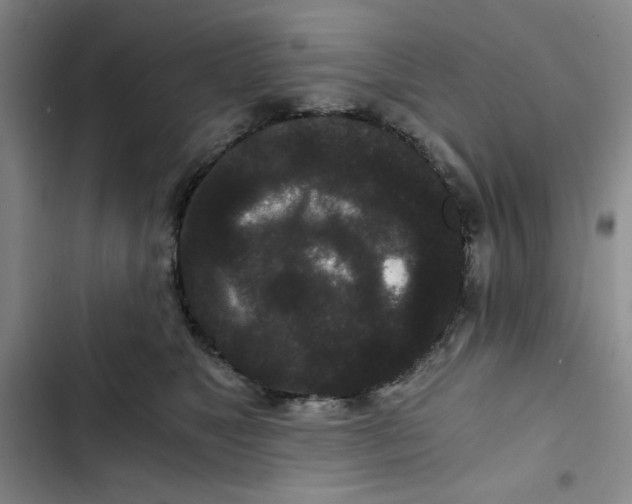 X0000102800517200809150932