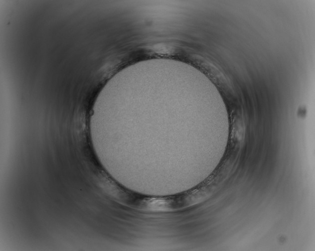 X0000102800518200809150932