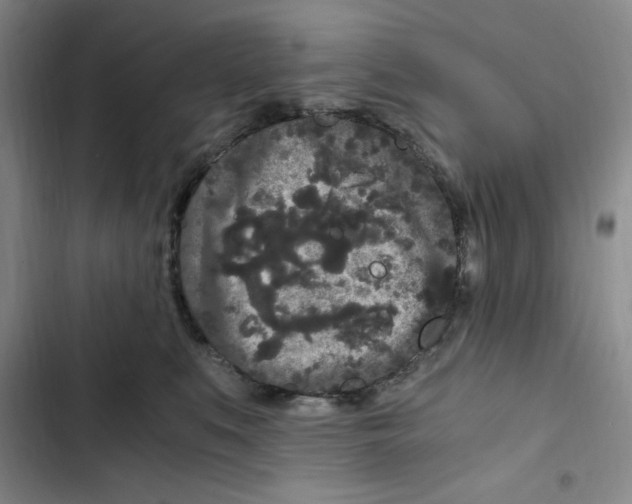 X0000102800519200809150932