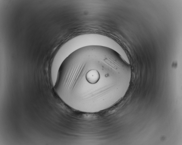 X0000102800520200809150932