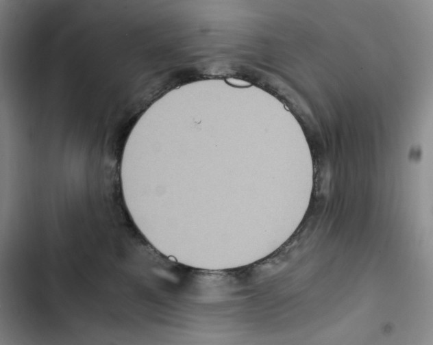 X0000102800521200809150932