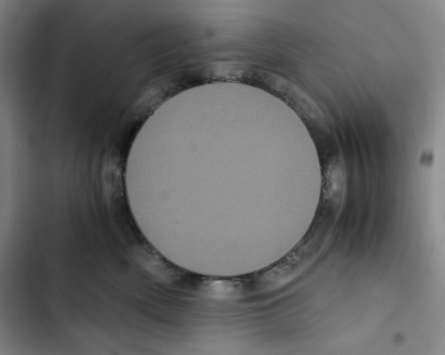 X0000102800522200809150932