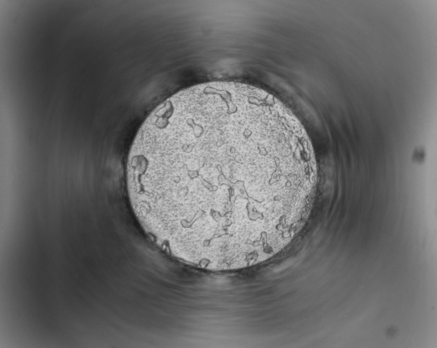 X0000102800523200809150932