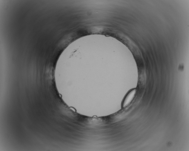 X0000102800525200809150932