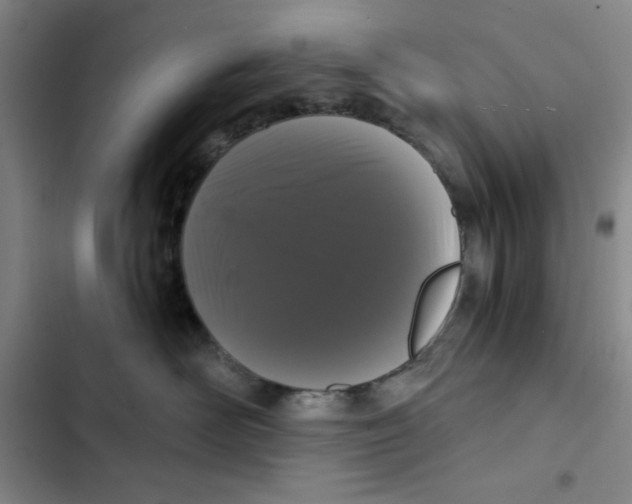 X0000102800526200809150932