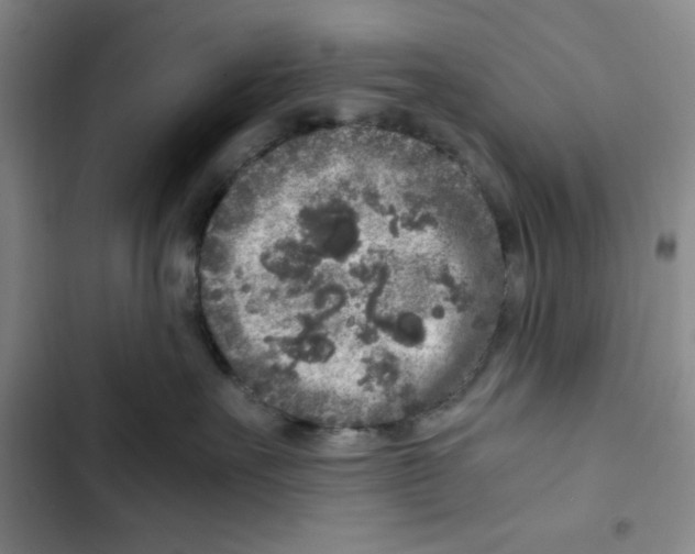 X0000102800527200809150932