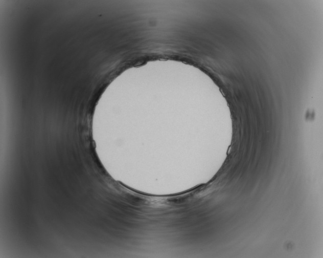 X0000102800528200809150932