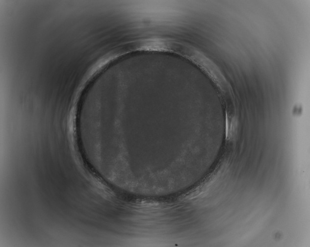 X0000102800531200809150931