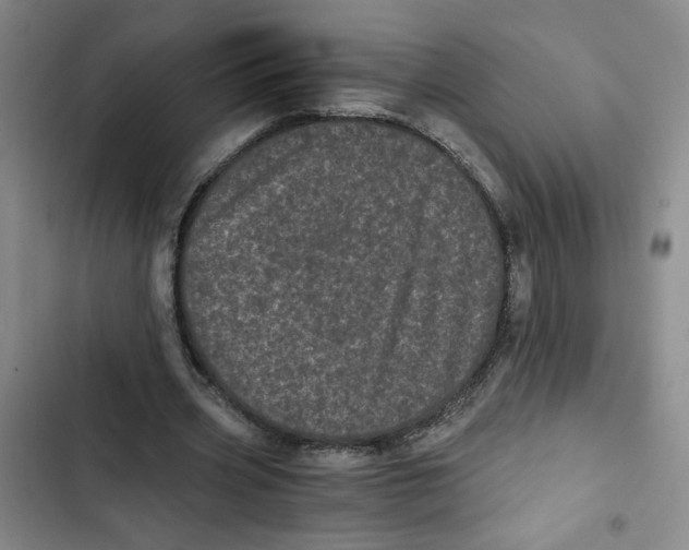 X0000102800533200809150931