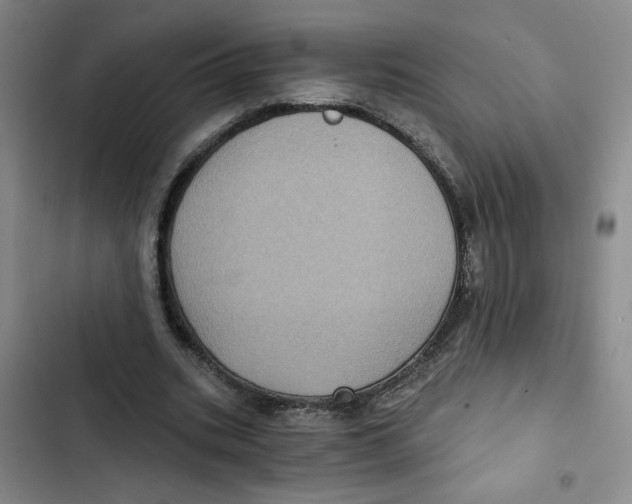 X0000102800535200809150931