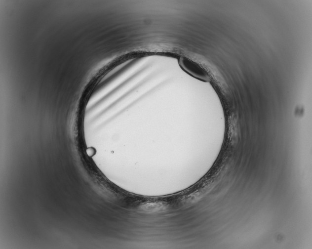 X0000102800536200809150931