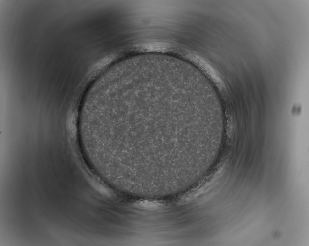 X0000102800537200809150931