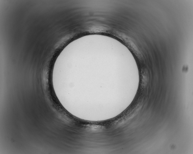 X0000102800539200809150931