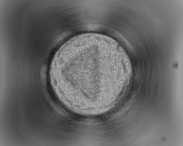 X0000102800542200809150931