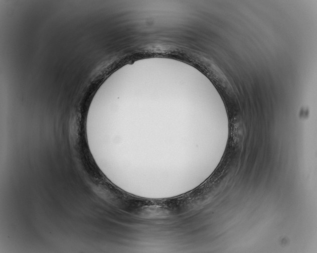 X0000102800544200809150931