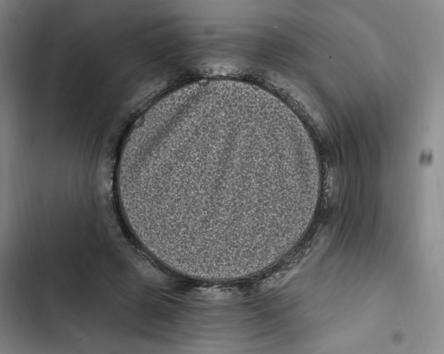 X0000102800545200809150931