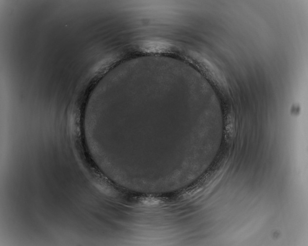 X0000102800547200809150931