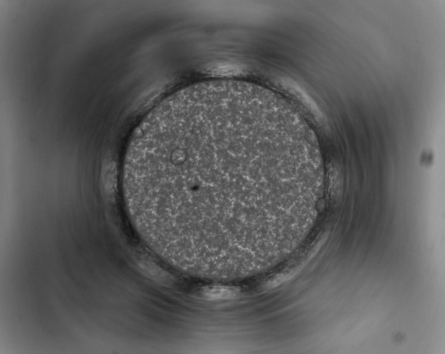 X0000102800549200809150931