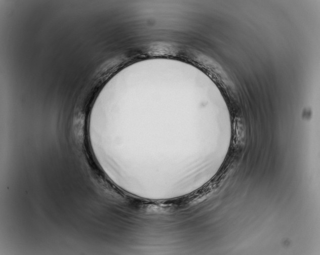 X0000102800550200809150931