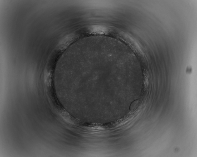 X0000102800551200809150931