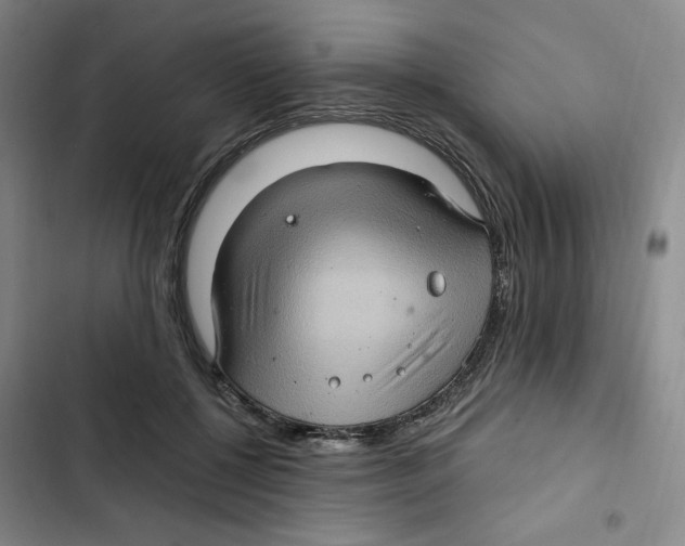 X0000102800552200809150931