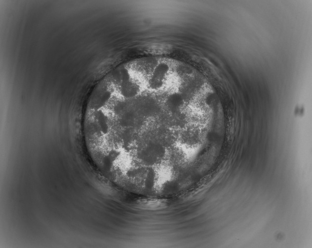 X0000102800553200809150931