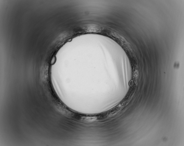 X0000102800554200809150931