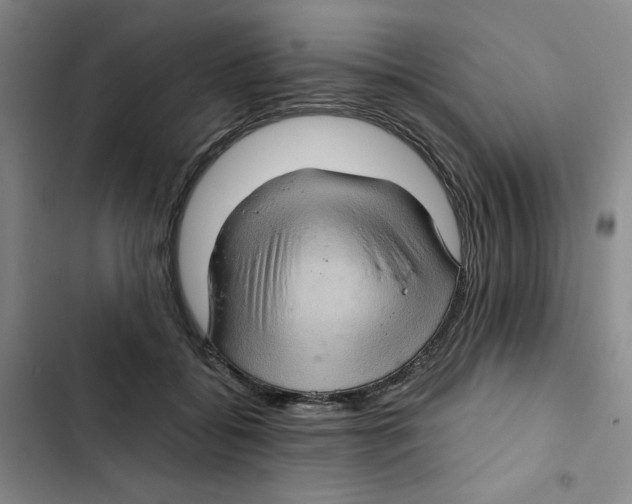 X0000102800556200809150931