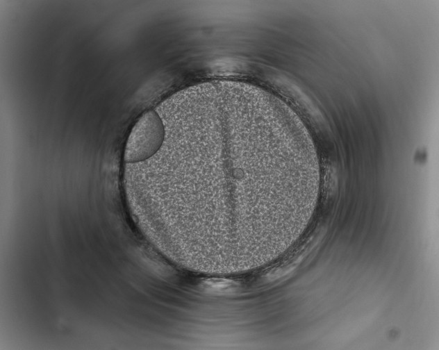 X0000102800557200809150931