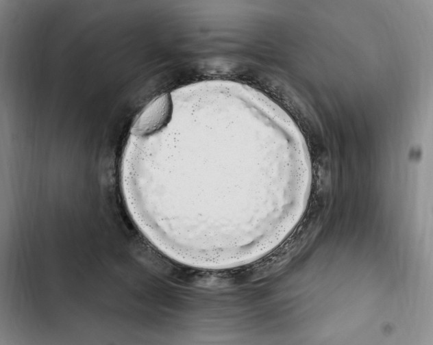 X0000102800561200809150931